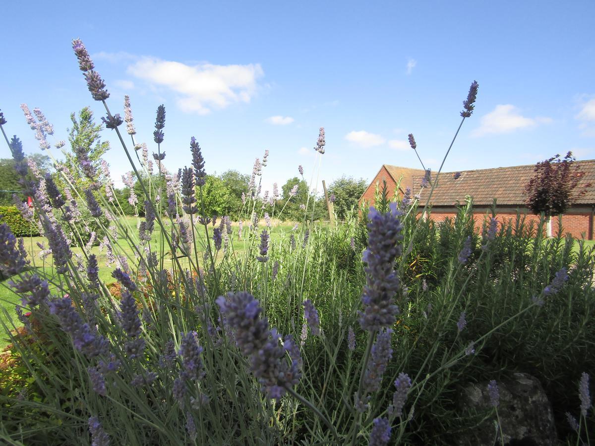 Home Farm Boreham Warminster Exterior photo